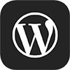 WordPress php themes